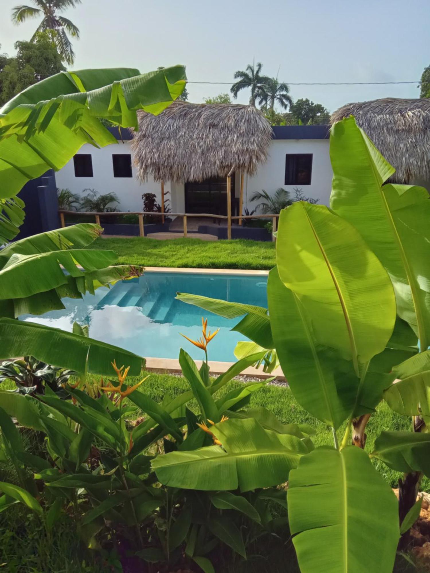 Bungalows Colibri Las Galeras Exterior foto