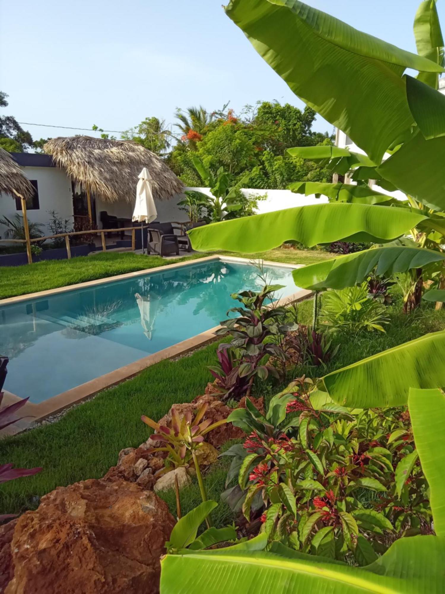 Bungalows Colibri Las Galeras Exterior foto