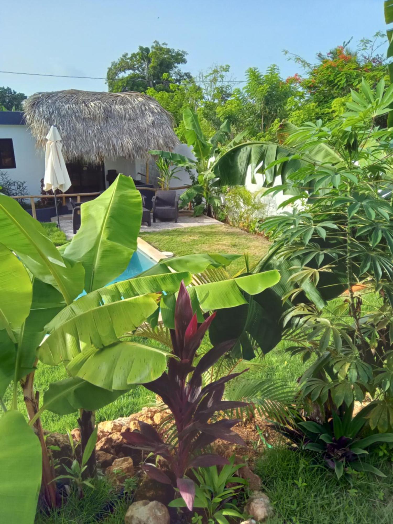 Bungalows Colibri Las Galeras Exterior foto