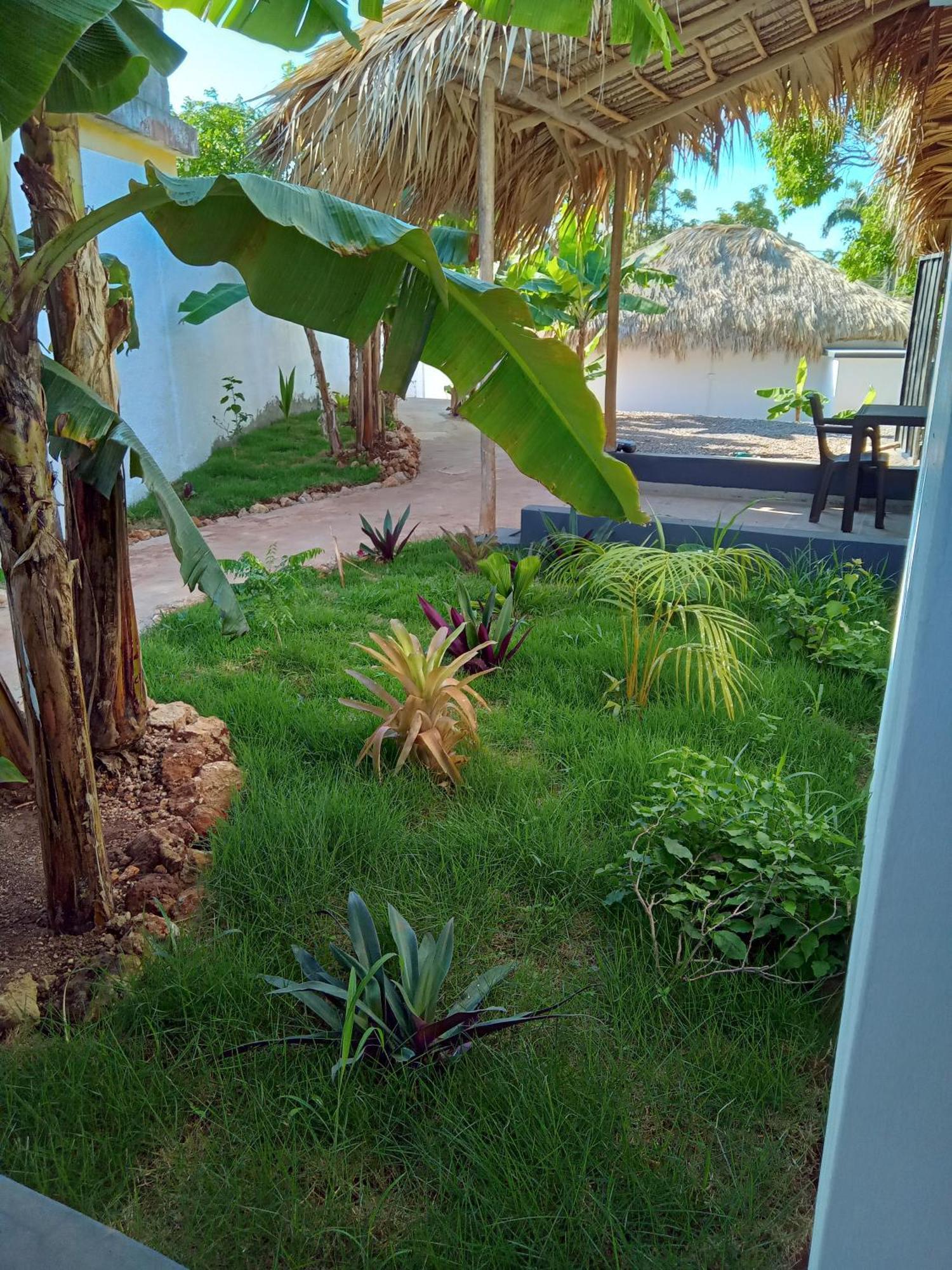 Bungalows Colibri Las Galeras Exterior foto