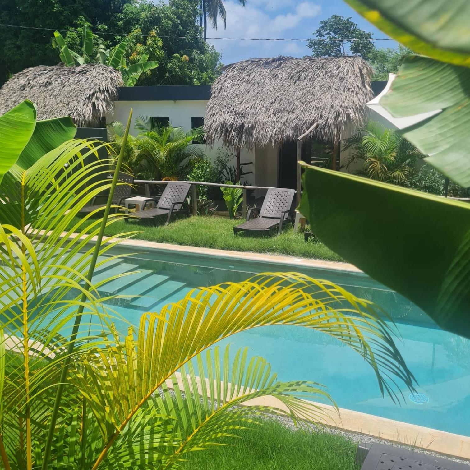 Bungalows Colibri Las Galeras Exterior foto