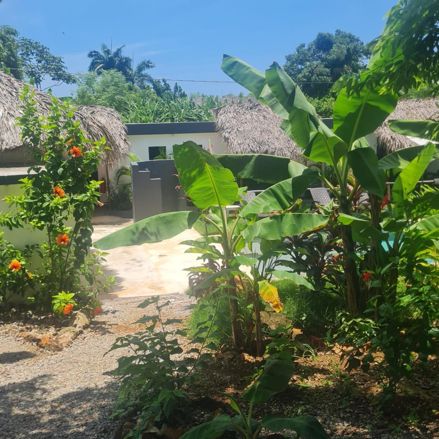 Bungalows Colibri Las Galeras Exterior foto